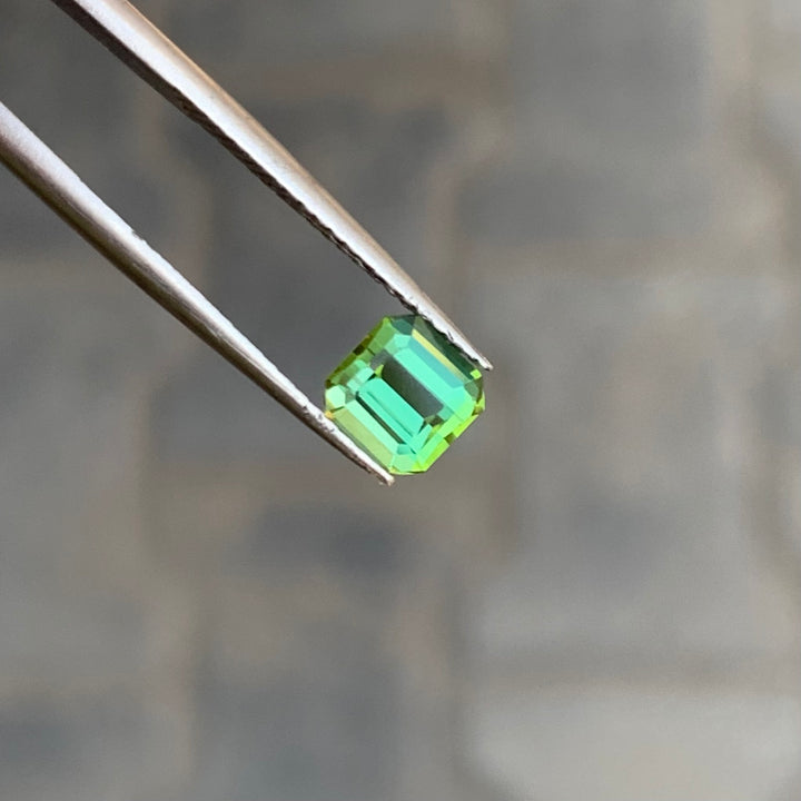 0.90 Cts Mint Green Tourmaline