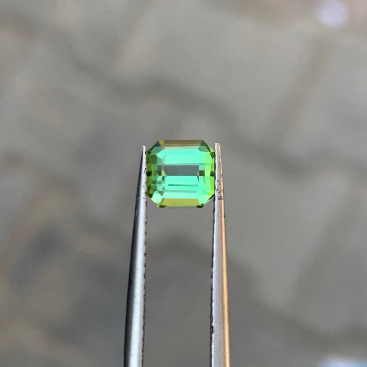 0.90 Cts Mint Green Tourmaline