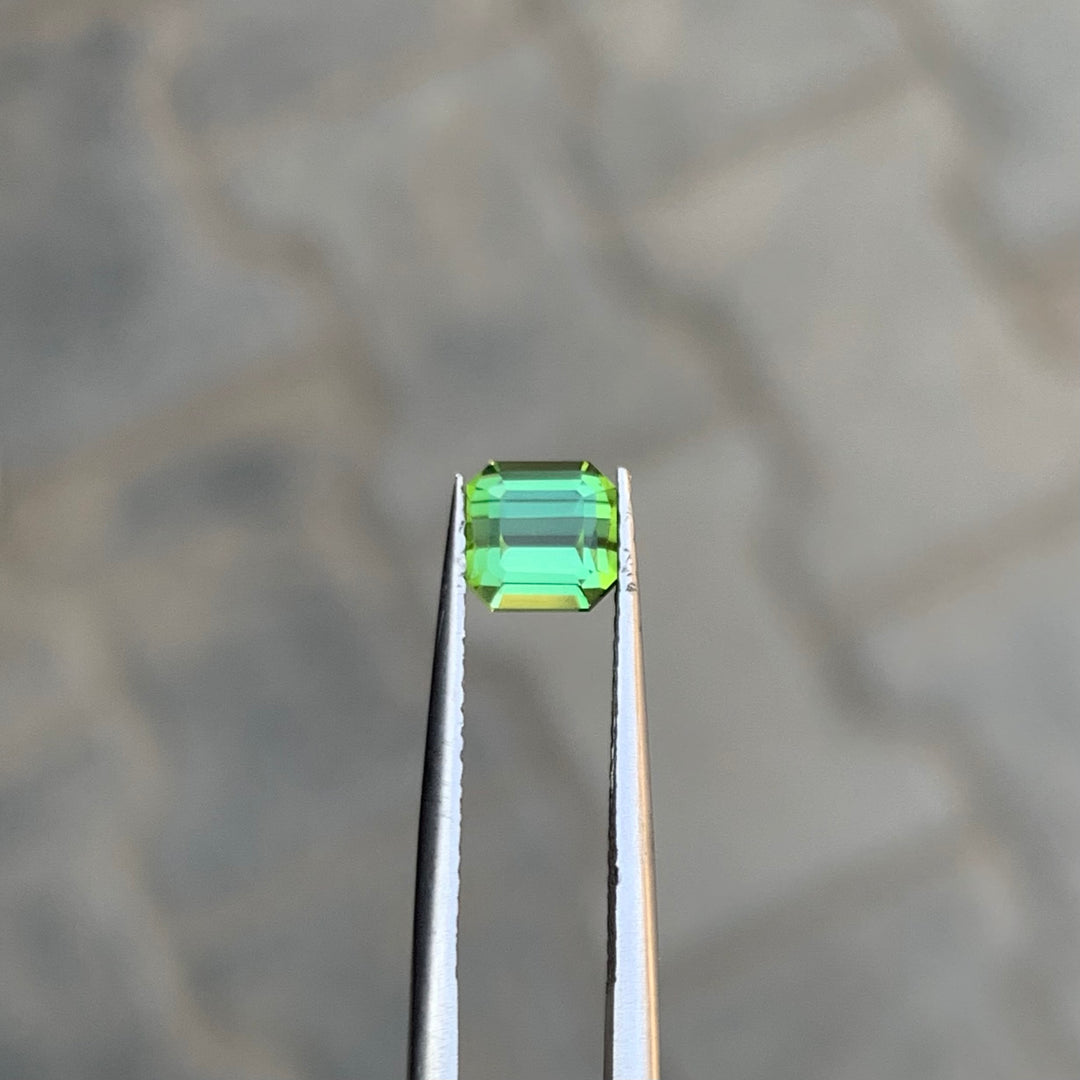 0.90 Cts Mint Green Tourmaline