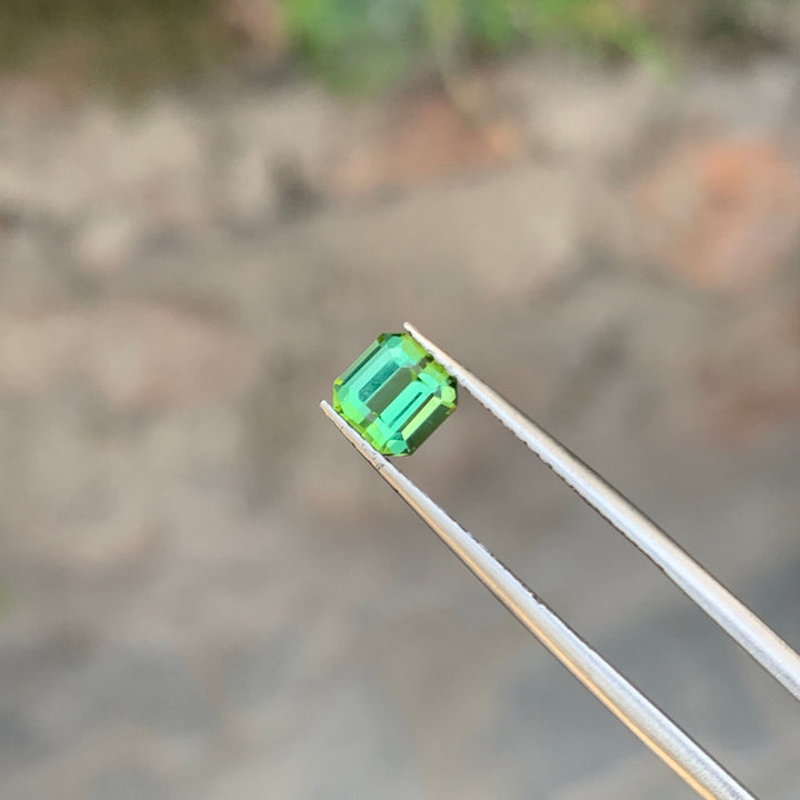 0.90 Cts Mint Green Tourmaline