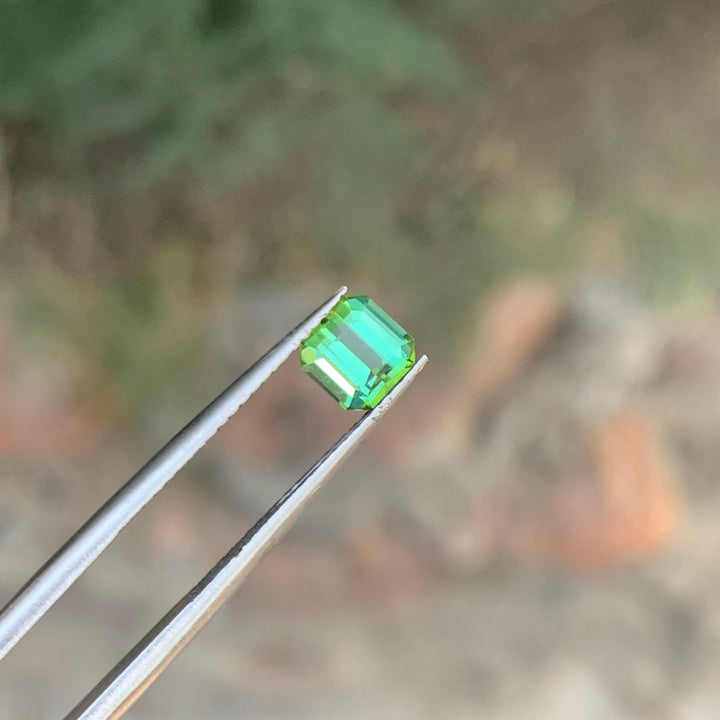0.90 Cts Mint Green Tourmaline