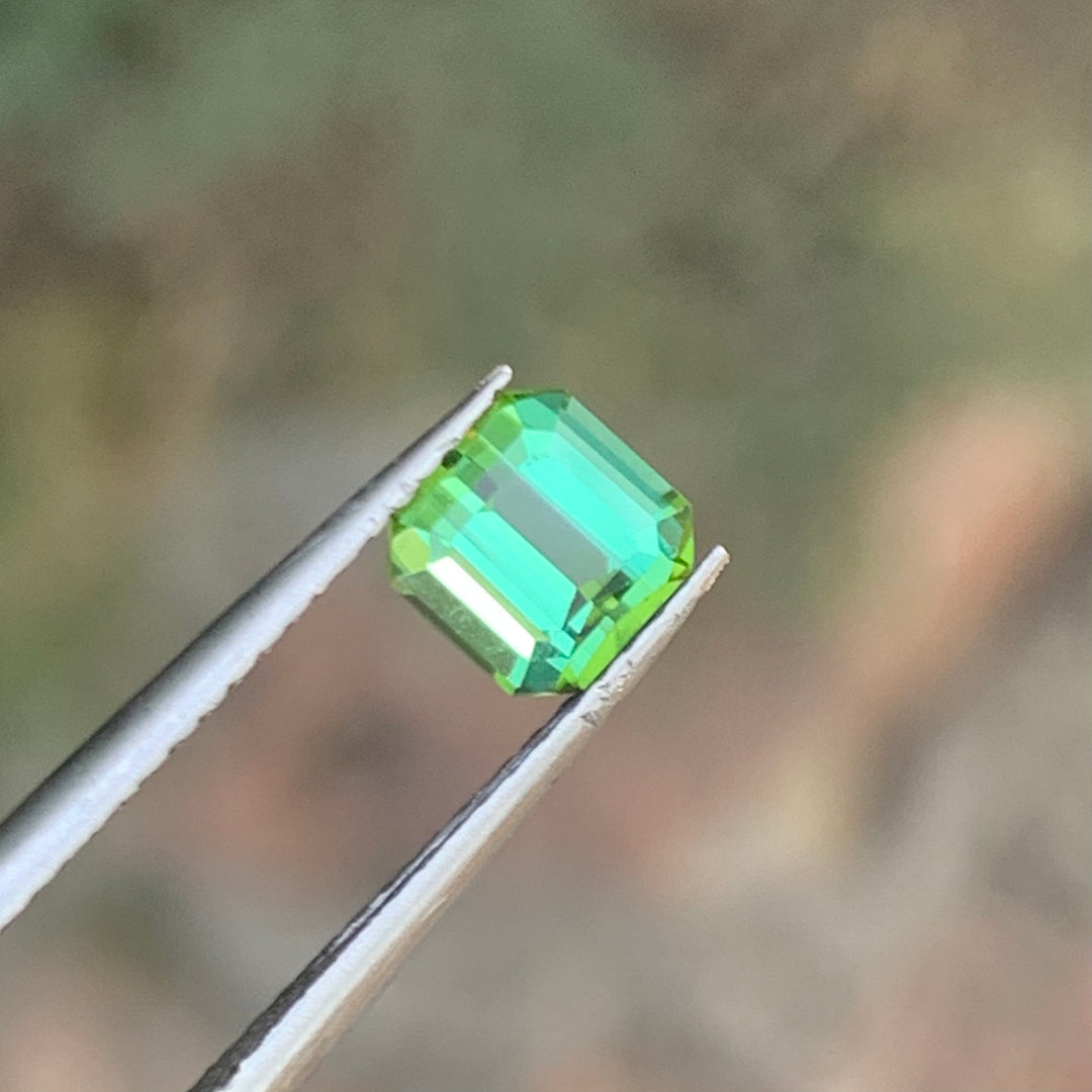 0.90 Cts Mint Green Tourmaline