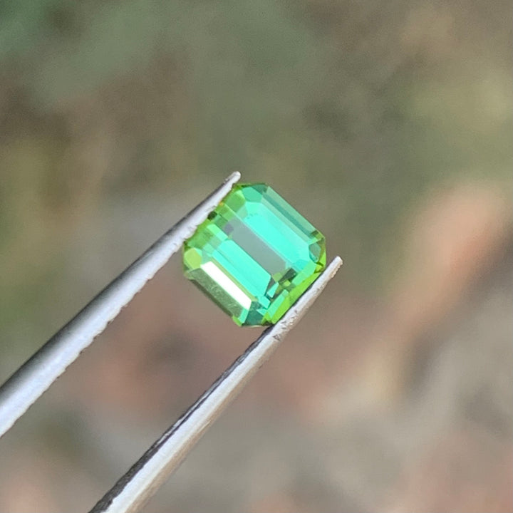 0.90 Cts Mint Green Tourmaline