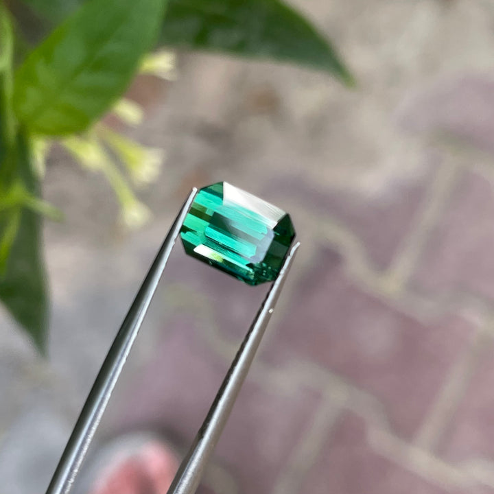 Natural Bluish Green Tourmaline — 2.60ct Faceted Emerald Cut, Afghan Origin