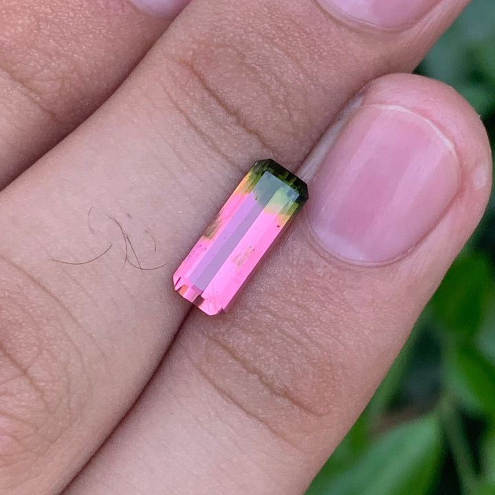 1.70 Carats Faceted Bi-Color Tourmaline