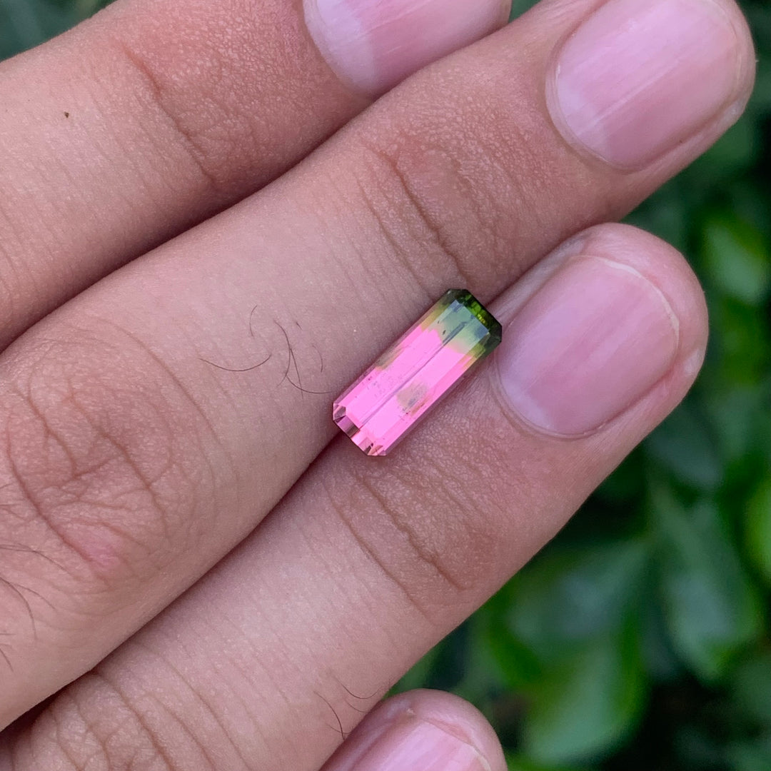 1.70 Carats Faceted Bi-Color Tourmaline