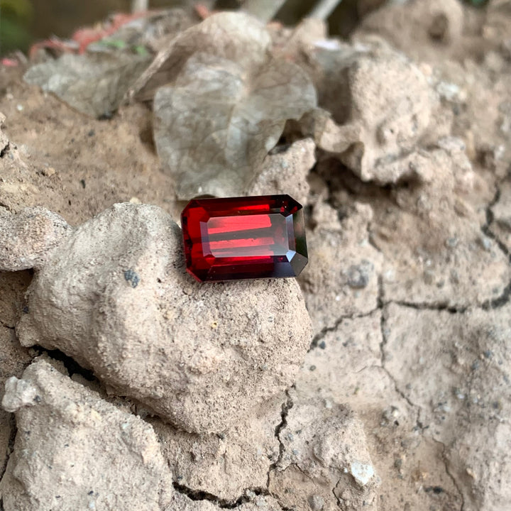 5.6 Carats Faceted Stunning Rhodolite Garnet