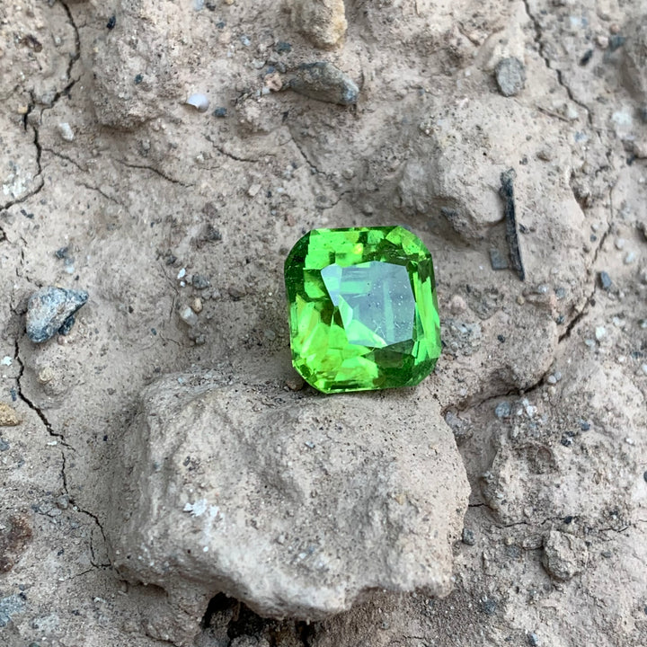 10 Carats Faceted Stunning Peridot