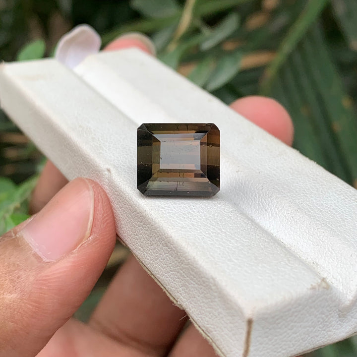 12.80 Carats Faceted Brown Tourmaline