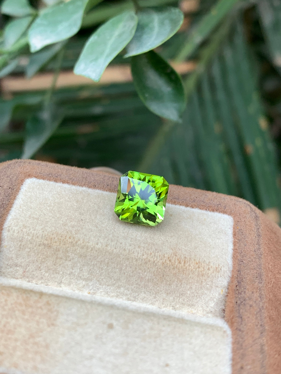 3 Carats Faceted Apple Green Peridot