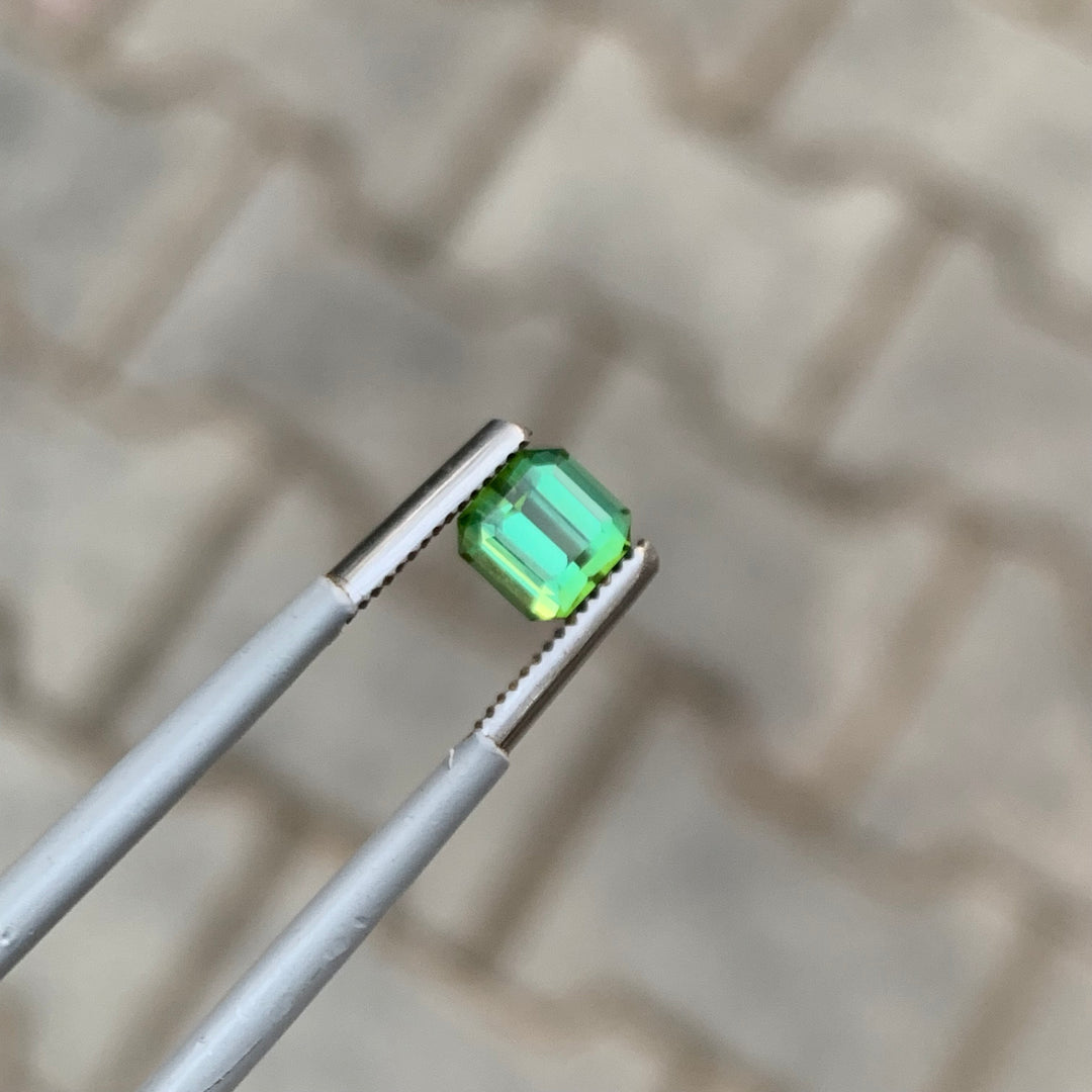 Green Tourmaline Square Shape 1 .00 Carats