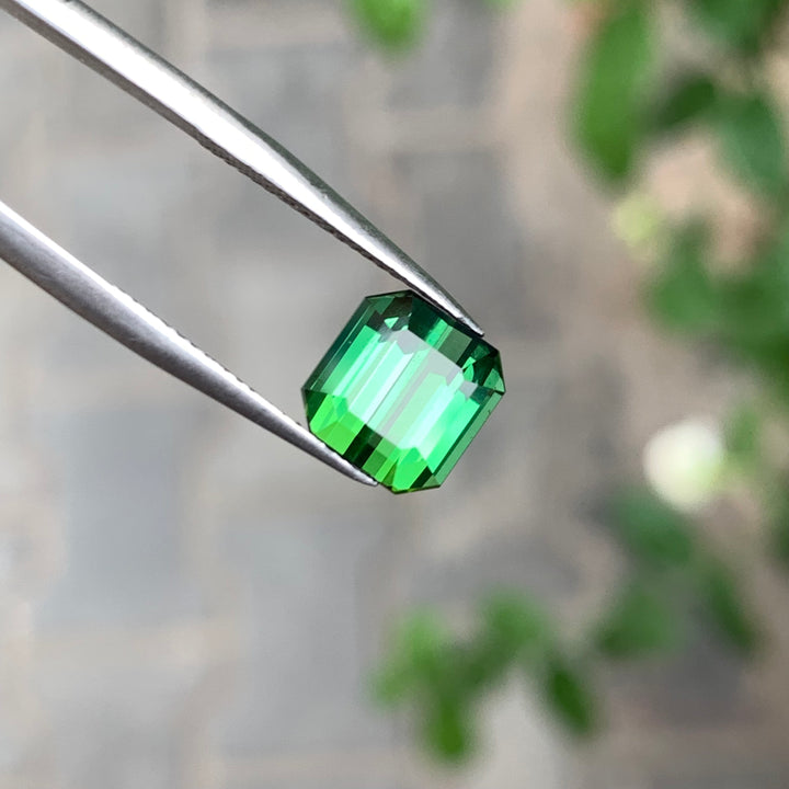 2.90 Carats Loose Green Tourmaline