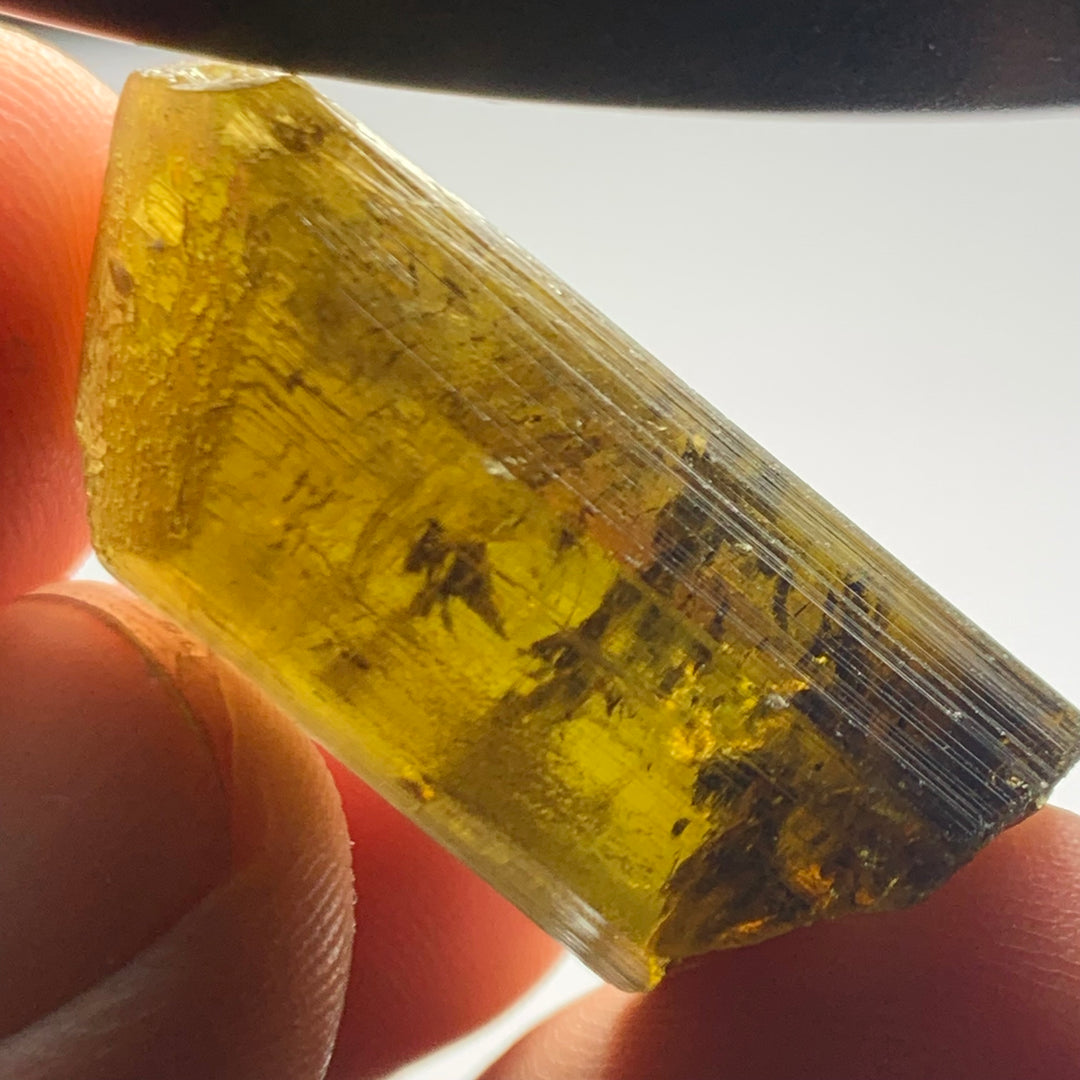 Yellow Tourmaline Crystal