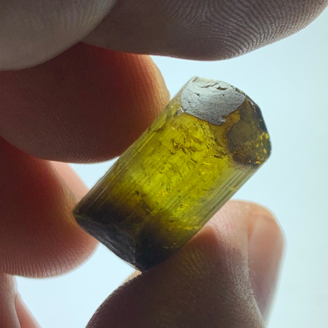 Yellow Tourmaline Crystal from Cango