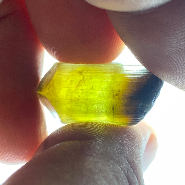 Yellow Tourmaline Crystal from Cango