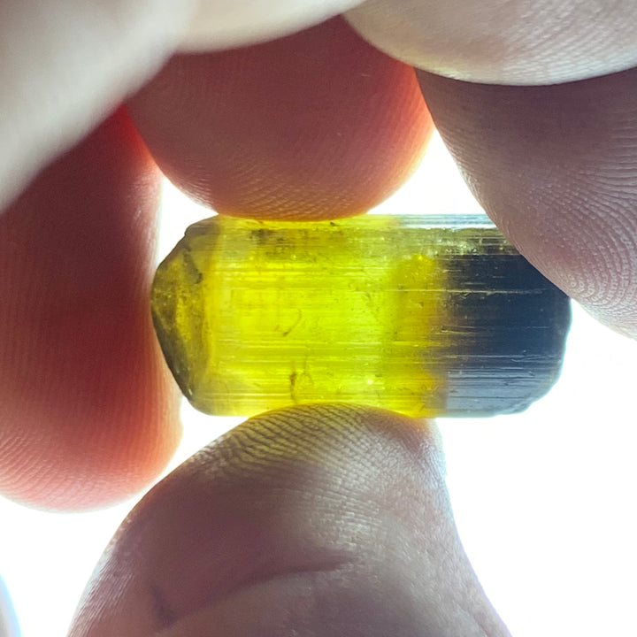 Yellow Tourmaline Crystal from Cango