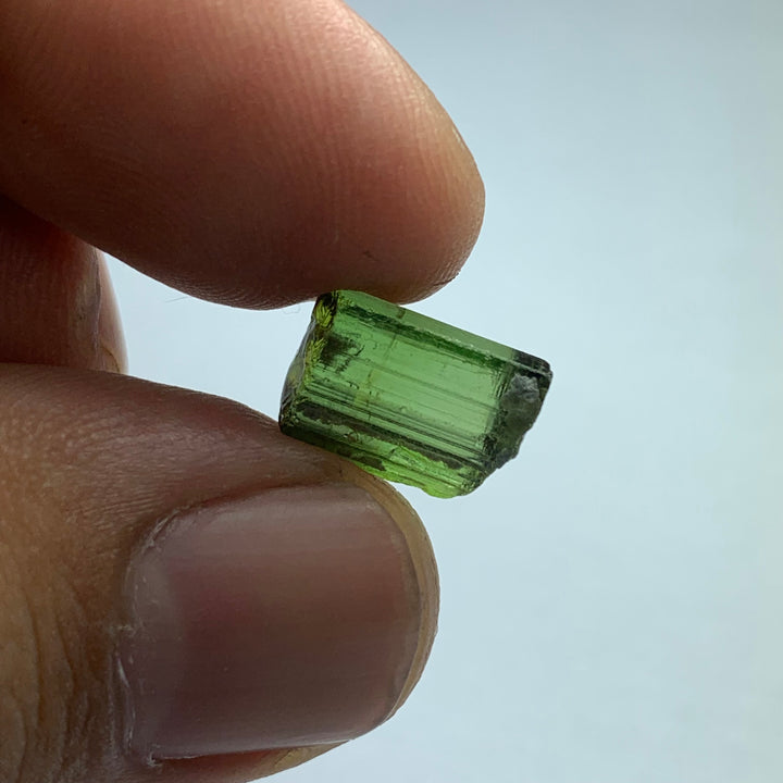 Green Tourmaline Rough | Facet Rough Tourmaline