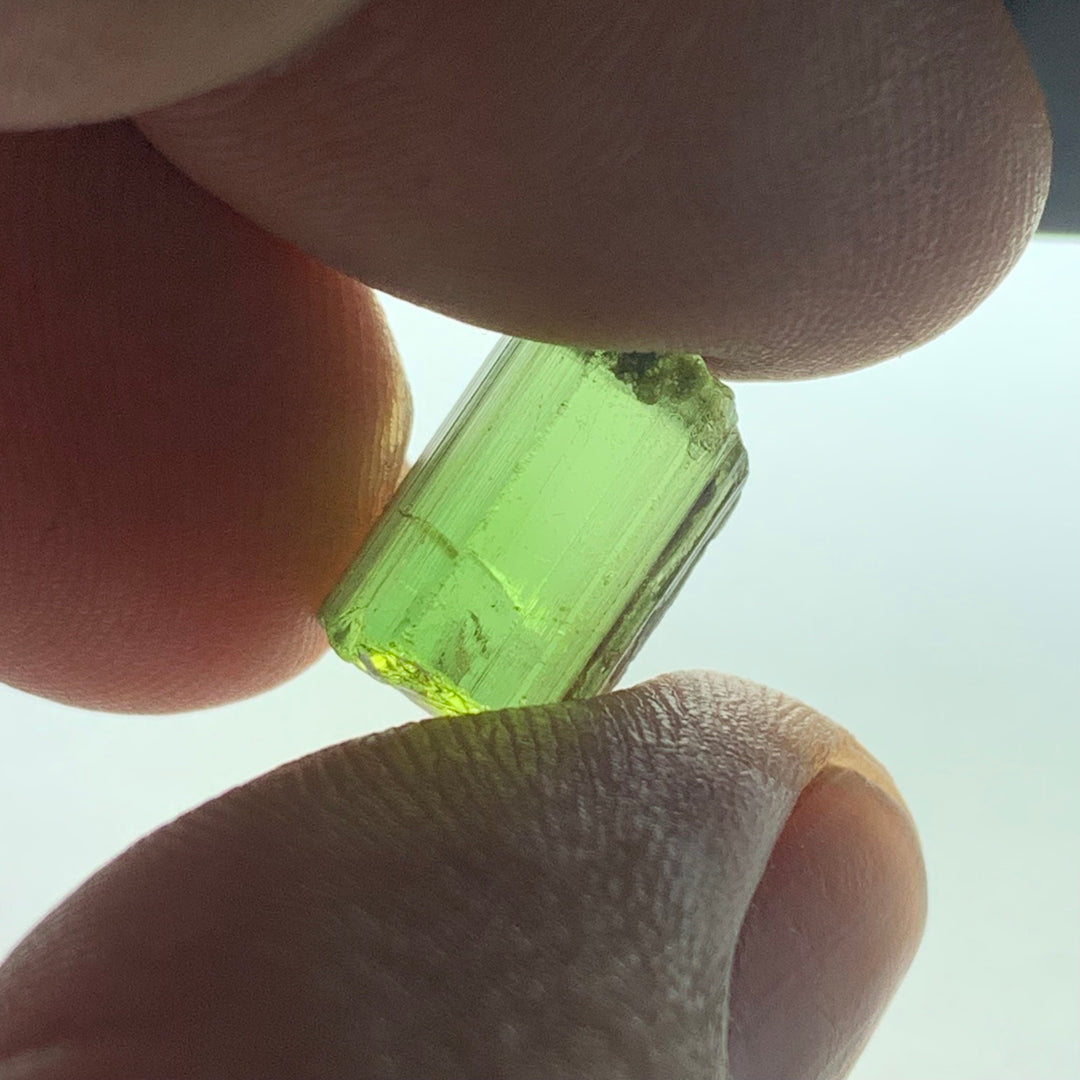 Green Tourmaline Rough | Facet Rough Tourmaline