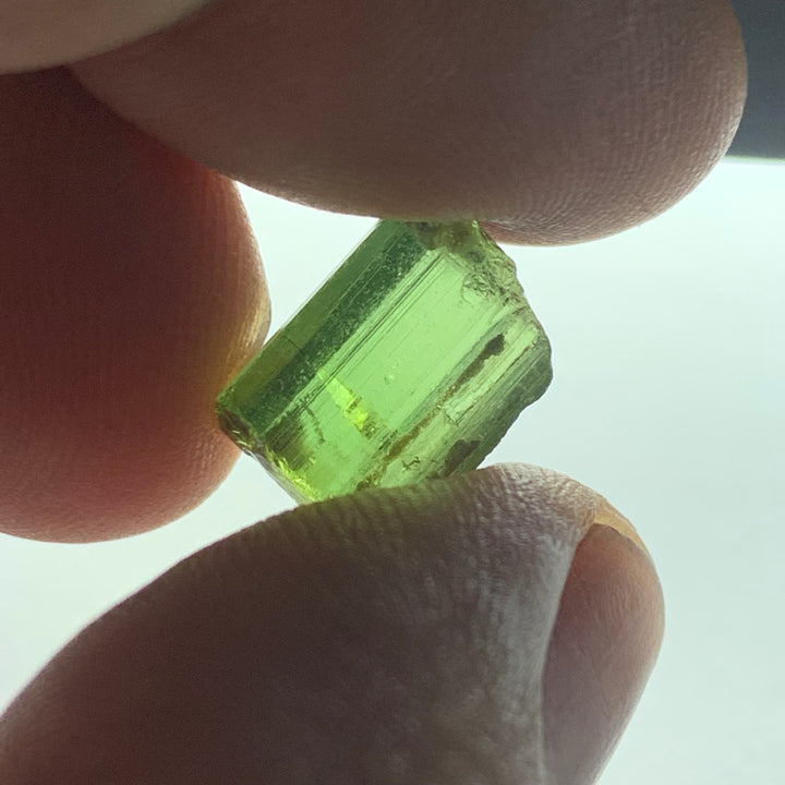 Green Tourmaline Rough | Facet Rough Tourmaline