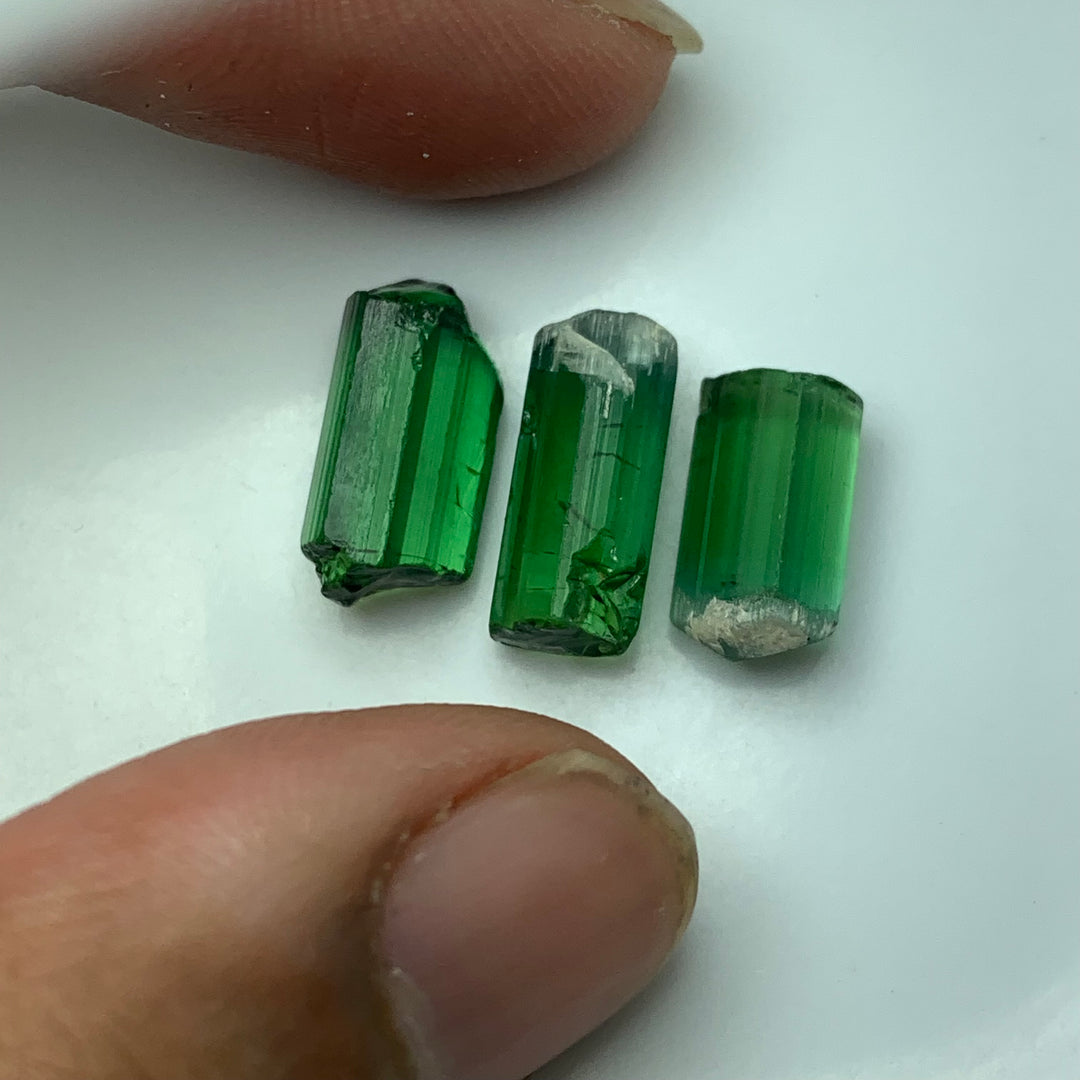 3.56 Grams Facet Rough Loupe Clean Tourmalines