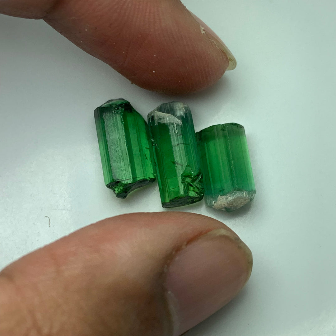 3.56 Grams Facet Rough Loupe Clean Tourmalines