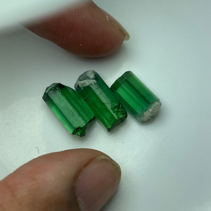 3.56 Grams Facet Rough Loupe Clean Tourmalines