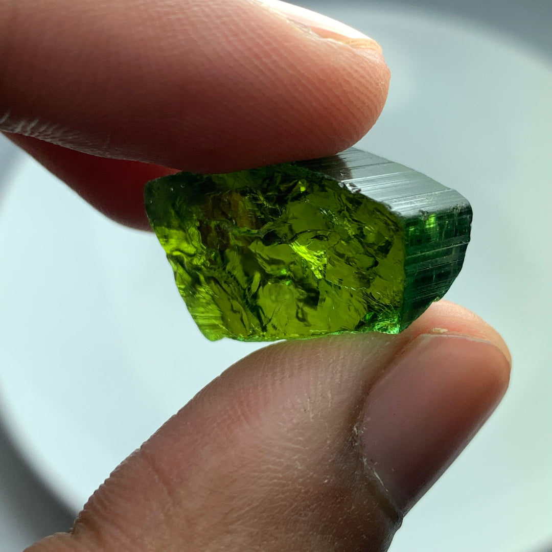 6.07 Grams Facet Rough Tourmaline