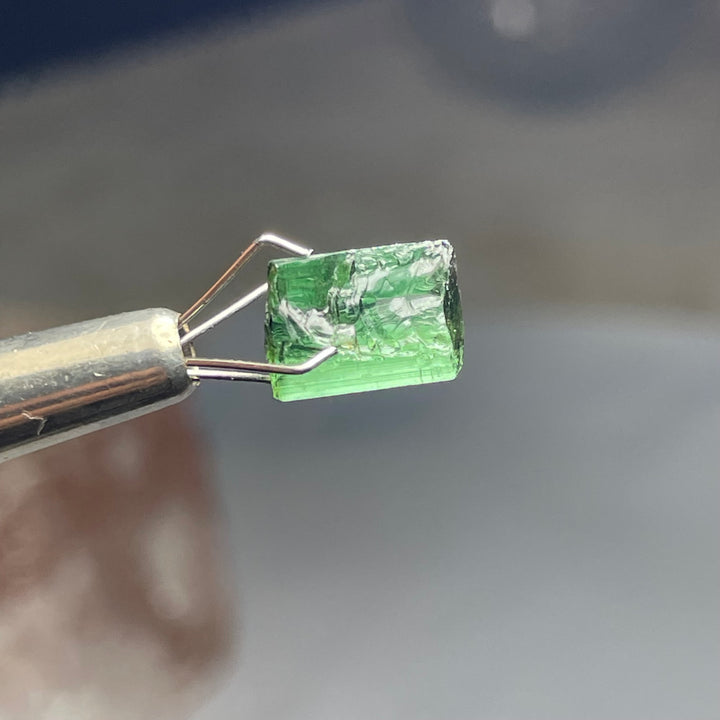 Lot of Bluish Green Tourmaline Rough Crystals – 5.5g Facet Grade Small Pieces