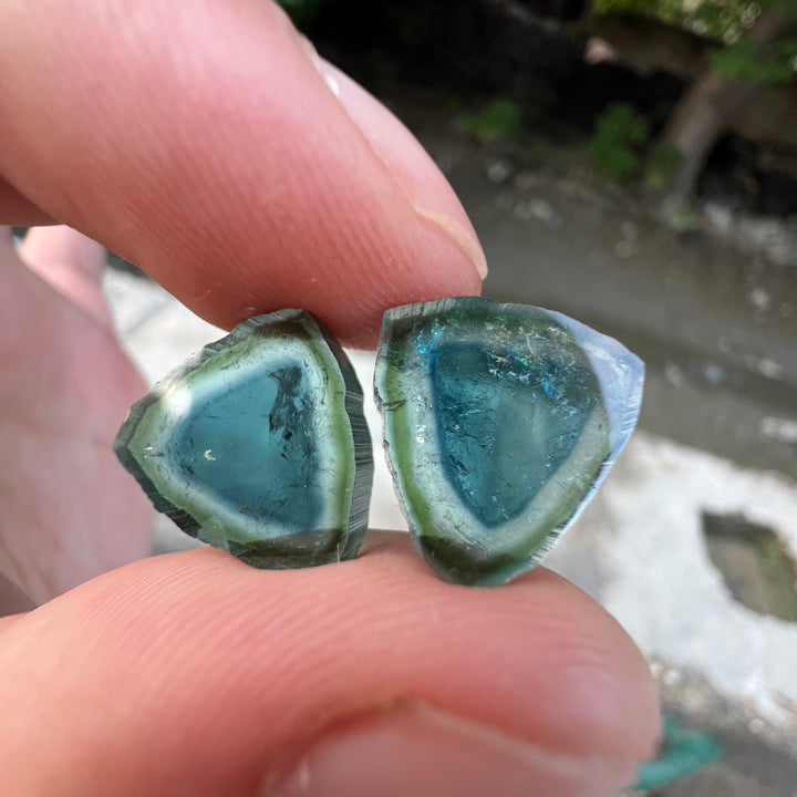 Natural Blue Tourmaline Slices Set of 3 – Blue & Green Bicolor with Raw Edges for Earrings
