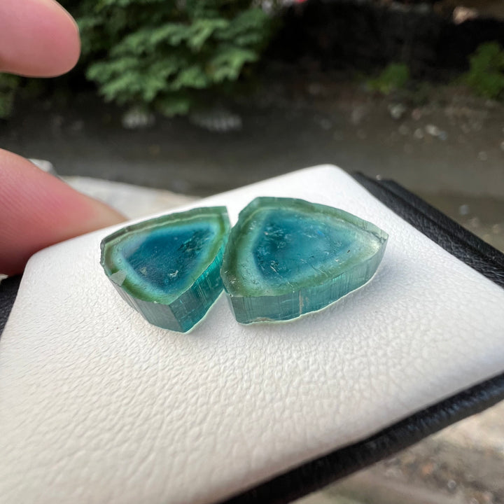 Natural Blue Tourmaline Slices Set of 3 – Blue & Green Bicolor with Raw Edges for Earrings