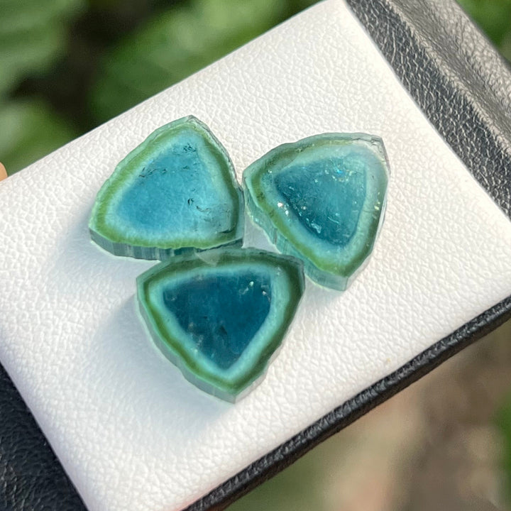 Natural Blue Tourmaline Slices Set of 3 – Blue & Green Bicolor with Raw Edges for Earrings