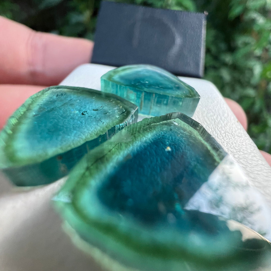 Natural Blue Tourmaline Slices Set of 3 – Blue & Green Bicolor with Raw Edges for Earrings