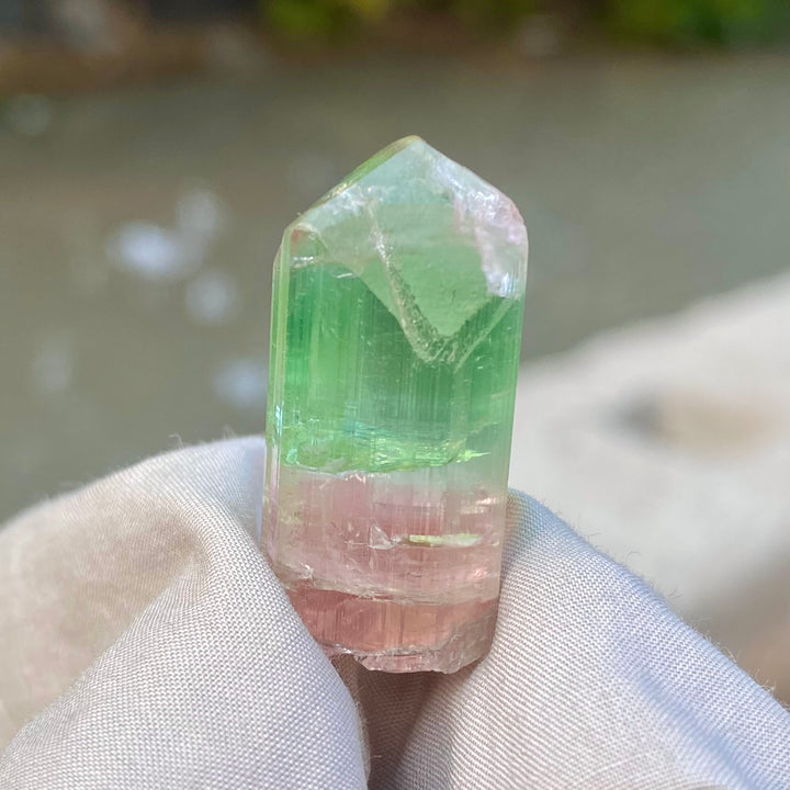Natural Watermelon Tourmaline Crystal 10.42g – Terminated, Afghanistan