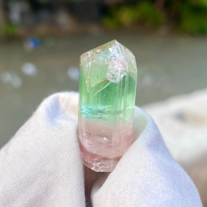Natural Watermelon Tourmaline Crystal 10.42g – Terminated, Afghanistan