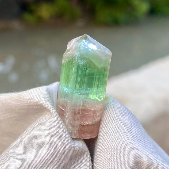 Natural Watermelon Tourmaline Crystal 10.42g – Terminated, Afghanistan