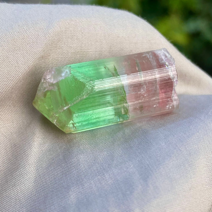 Natural Watermelon Tourmaline Crystal 10.42g – Terminated, Afghanistan