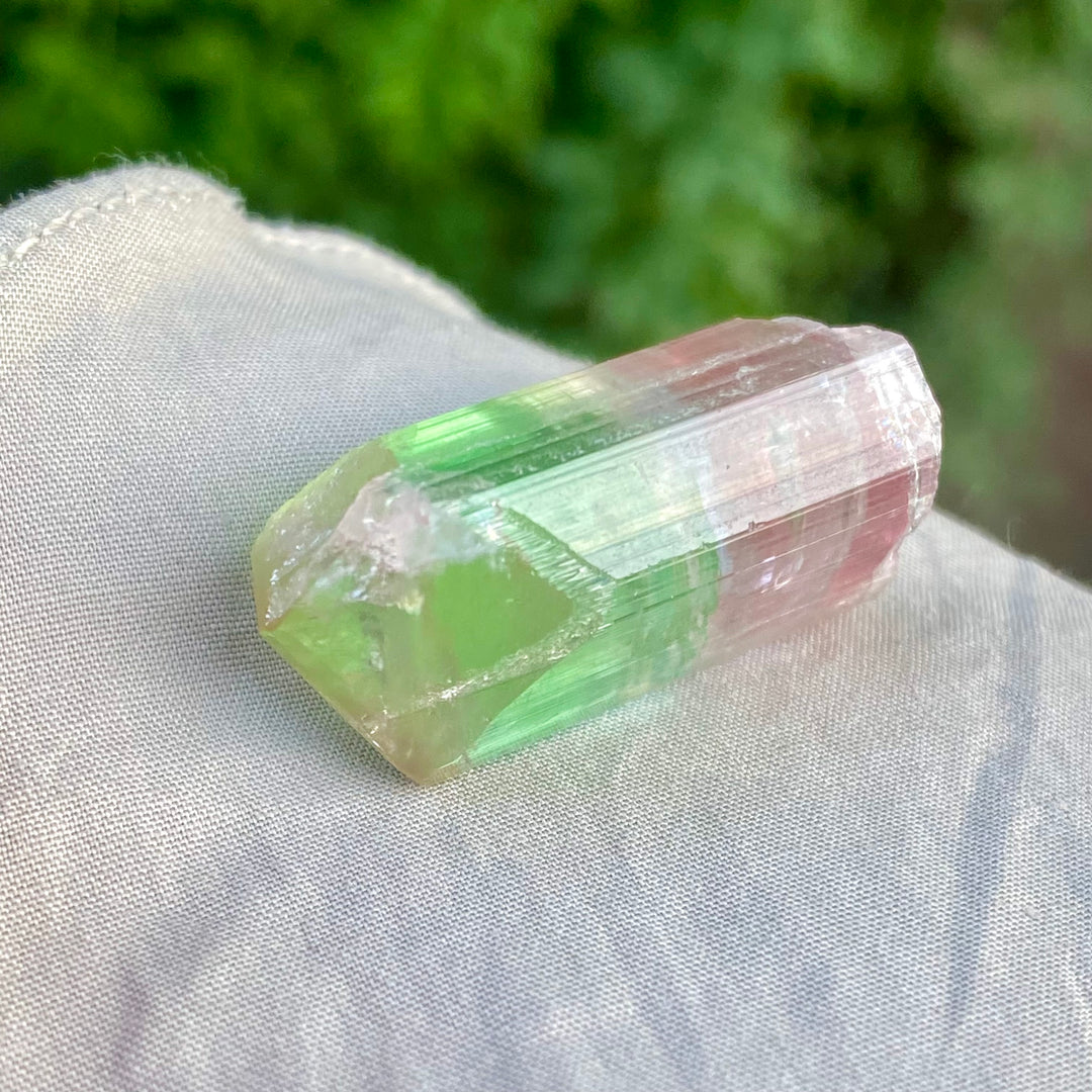 Natural Watermelon Tourmaline Crystal 10.42g – Terminated, Afghanistan