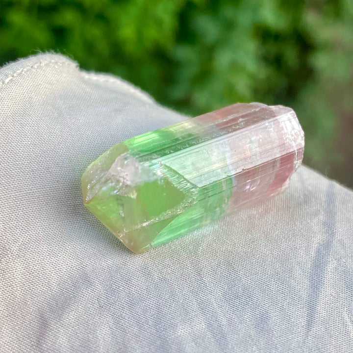 Natural Watermelon Tourmaline Crystal 10.42g – Terminated, Afghanistan