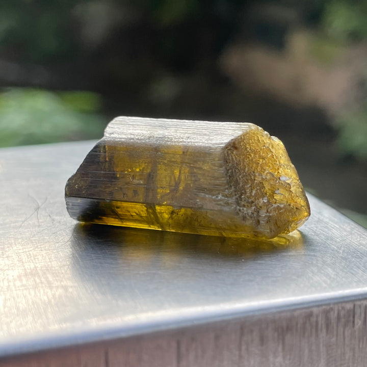 Natural Yellow and Black Bicolor Tourmaline Crystal – Terminated Badakhshan Specimen for Wire Wrapping & Pendant Use