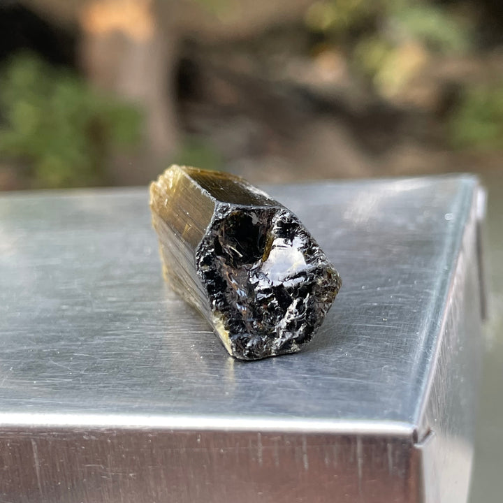 Natural Yellow and Black Bicolor Tourmaline Crystal – Terminated Badakhshan Specimen for Wire Wrapping & Pendant Use