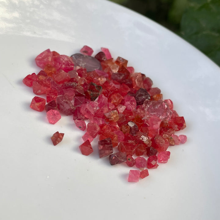 Intense Red Vietnamese Rough Spinels – Calibrated Sizes for Faceting or Jewelry