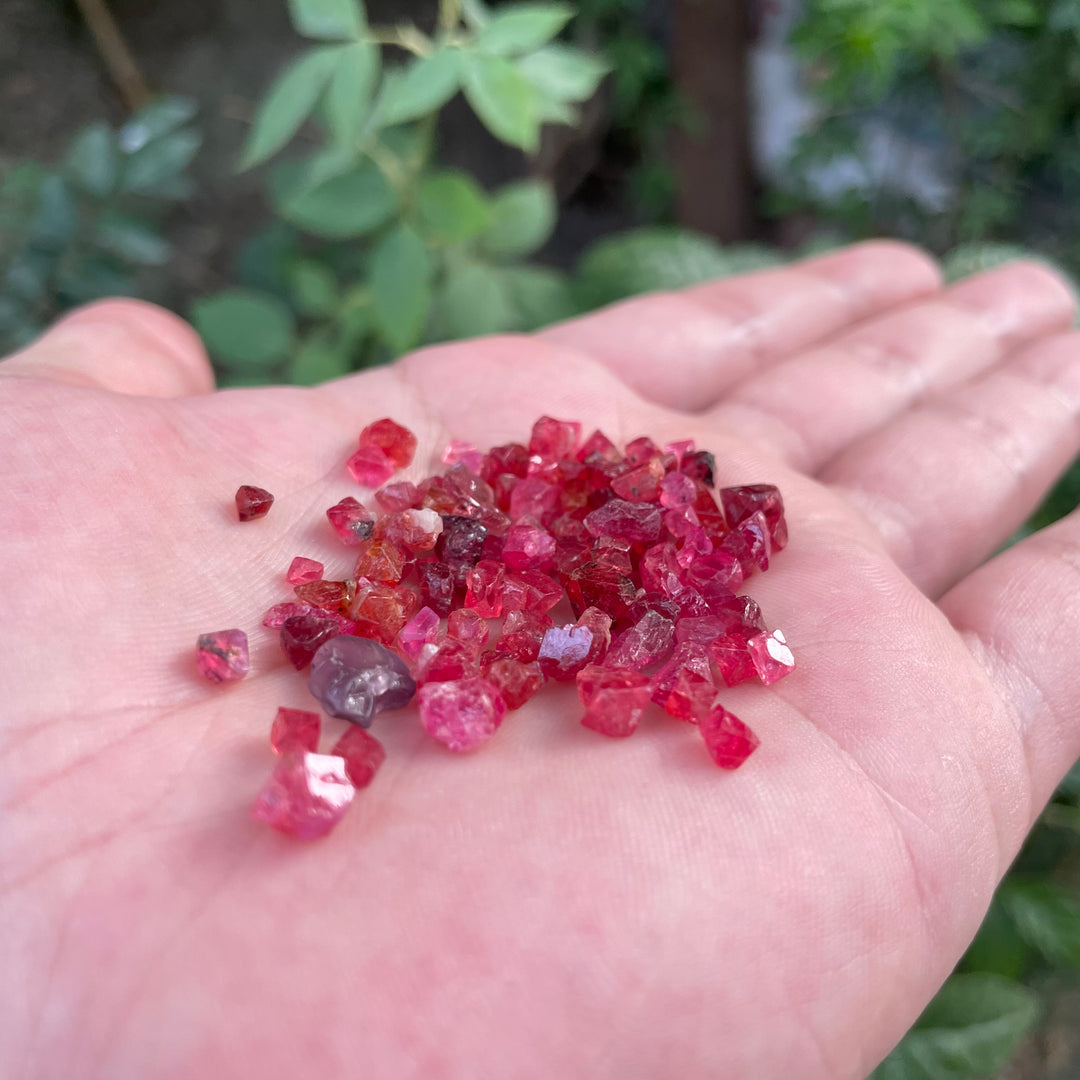 Intense Red Vietnamese Rough Spinels – Calibrated Sizes for Faceting or Jewelry