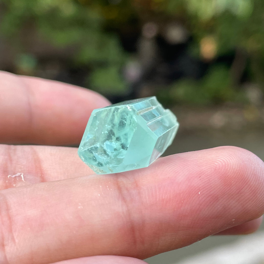 Natural Shigar Aquamarine Crystals – Terminated Specimens from Pakistan