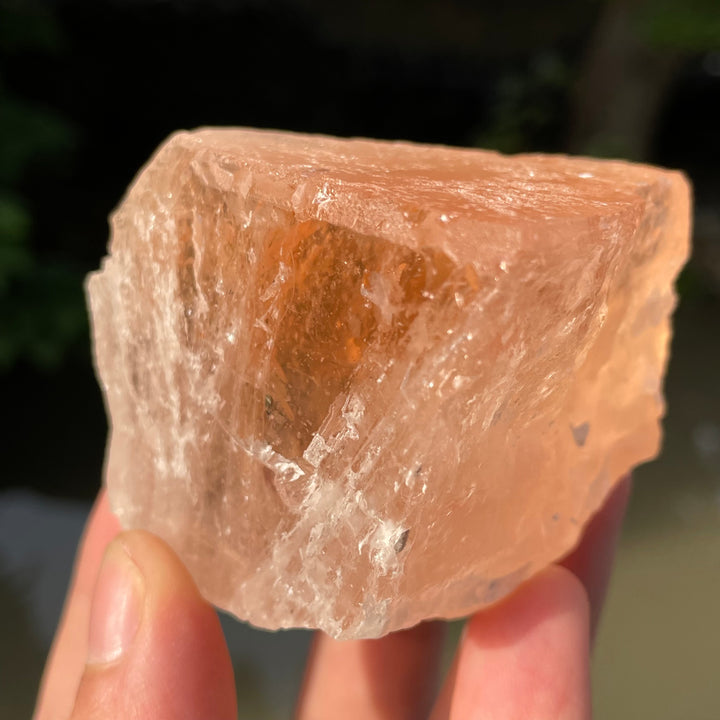 Peachy Orange Morganite Facet Rough | Natural Afghanistan Gemstone for Fine Faceting