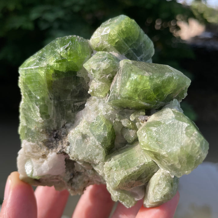 Natural Chrome Diopside Cluster Specimen 554 Grams – Mighty Size, Undamaged Free-Standing Collector Piece