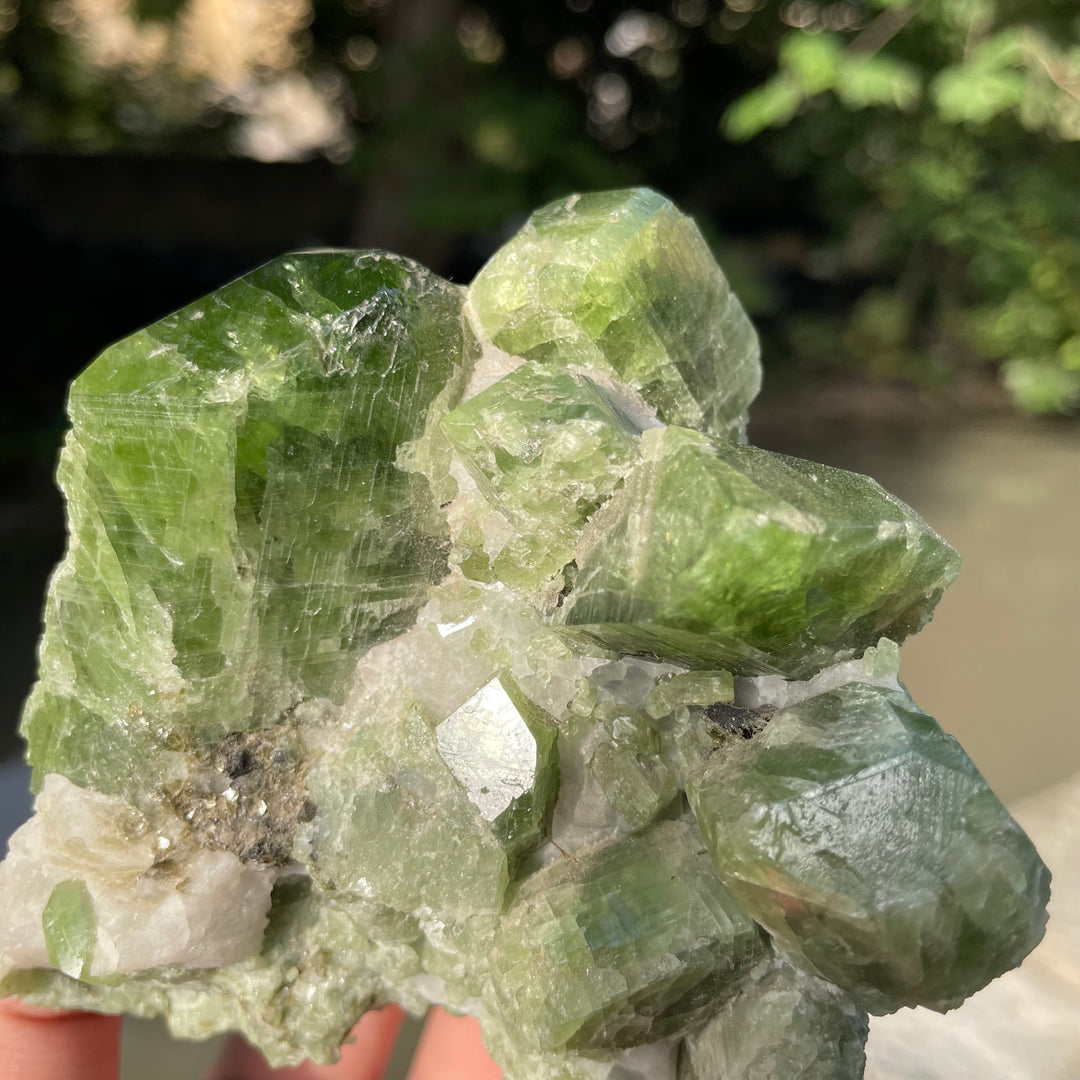 Natural Chrome Diopside Cluster Specimen 554 Grams – Mighty Size, Undamaged Free-Standing Collector Piece