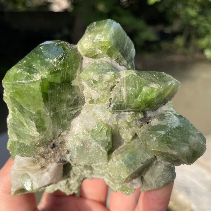 Natural Chrome Diopside Cluster Specimen 554 Grams – Mighty Size, Undamaged Free-Standing Collector Piece