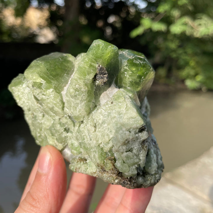Natural Chrome Diopside Cluster Specimen 554 Grams – Mighty Size, Undamaged Free-Standing Collector Piece