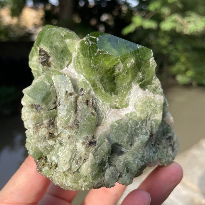 Natural Chrome Diopside Cluster Specimen 554 Grams – Mighty Size, Undamaged Free-Standing Collector Piece