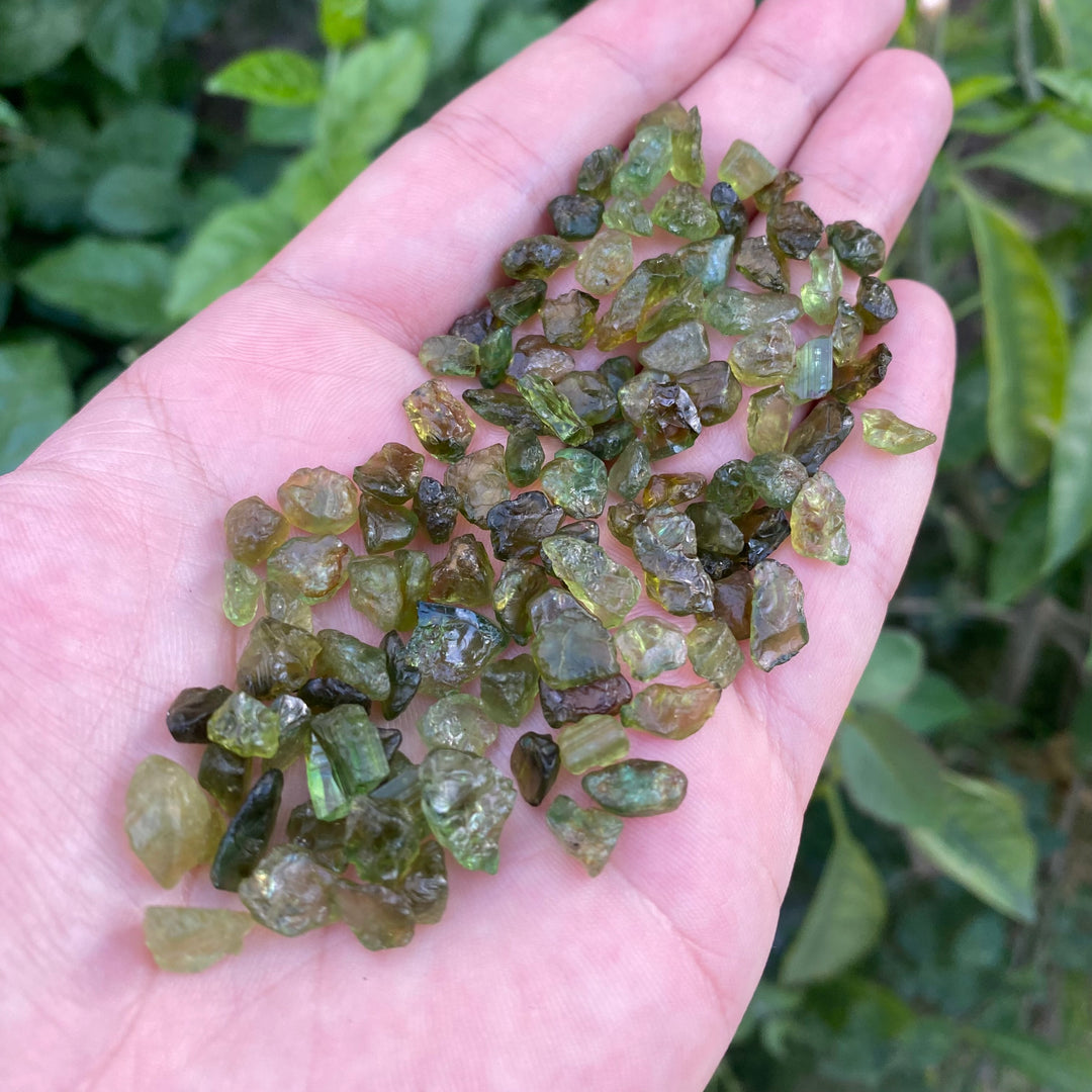 Natural Chrome Tourmaline Rough Lot – Cutting Grade, Calibrated Sizes, African Mined, Vivid Green